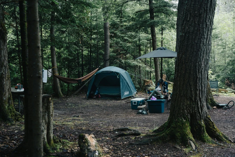 Camping Background